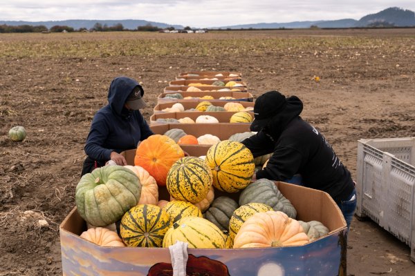 El cierre de Ormuz y El Niño podrían estar conduciendo a un “shock alimentario” mundial