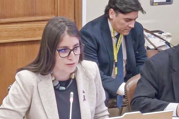 Romina Garrido en la instancia parlamentaria este martes.