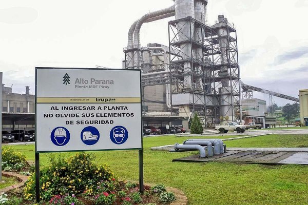 Arauco planea vender activos en Argentina
